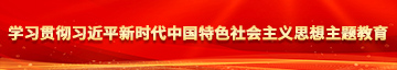 艹死你个骚逼视频学习贯彻习近平新时代中国特色社会主义思想主题教育